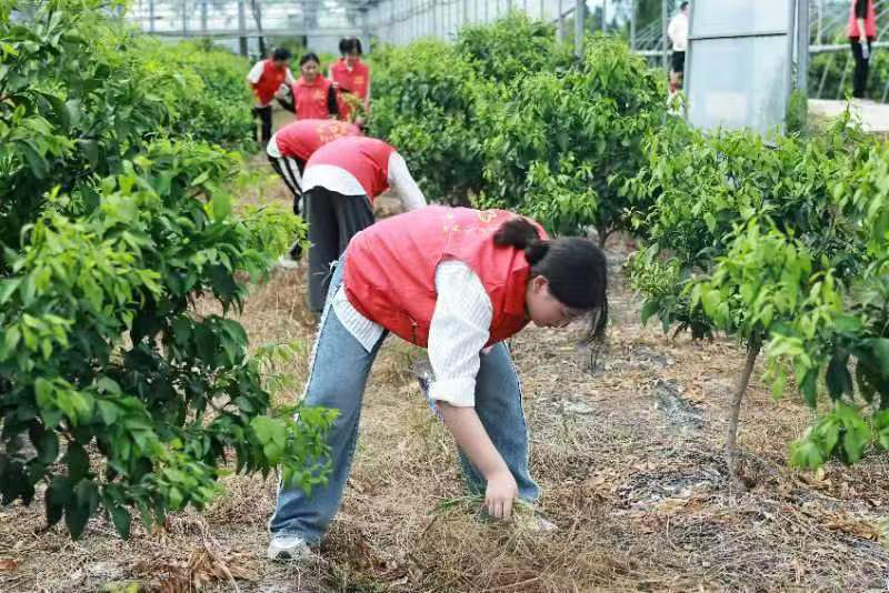 微信图片_20230825083456.png 微信图片_20230825083456.png